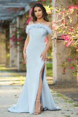 Sochi Gown - Dusty Blue Feather Trim Dress - FINAL SALE