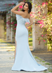 Sochi Gown - Dusty Blue Feather Trim Dress - FINAL SALE